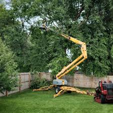 Best Sod Installation  in Kouts, IN
