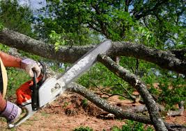 Lawn Pest Prevention in Kouts, IN